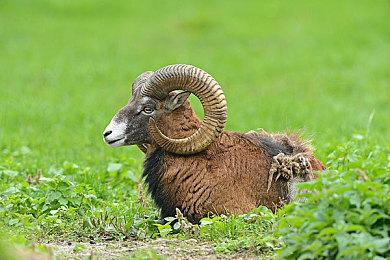 未来游戏展：2D卡通冒险《Lost In Play》8月发售